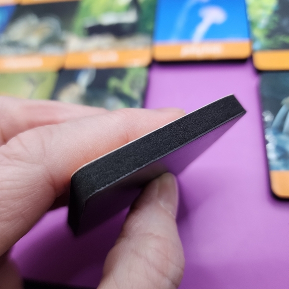 47 pc Animal Themed Foam Magnets 2.5x2" Rectangular Children Learning Education - Picture 4 of 5